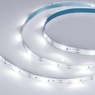 Лента светодиодная RT-5000-6060LENS-20-12V White6000 (10mm, 10W/m, IP20) (Arlight, Открытый)
