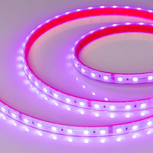 Лента светодиодная герметичная RTW-PS-B60-12mm 24V RGB (14.4 W/m, IP67, 5060, 5m) (Arlight, 14.4 Вт/м, IP67)