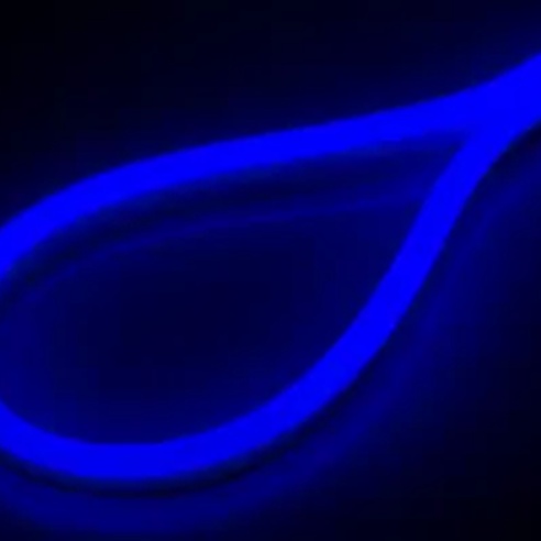 Гибкий неон NEO-FX3528-S50-240V Blue (Arlight, Закрытый)