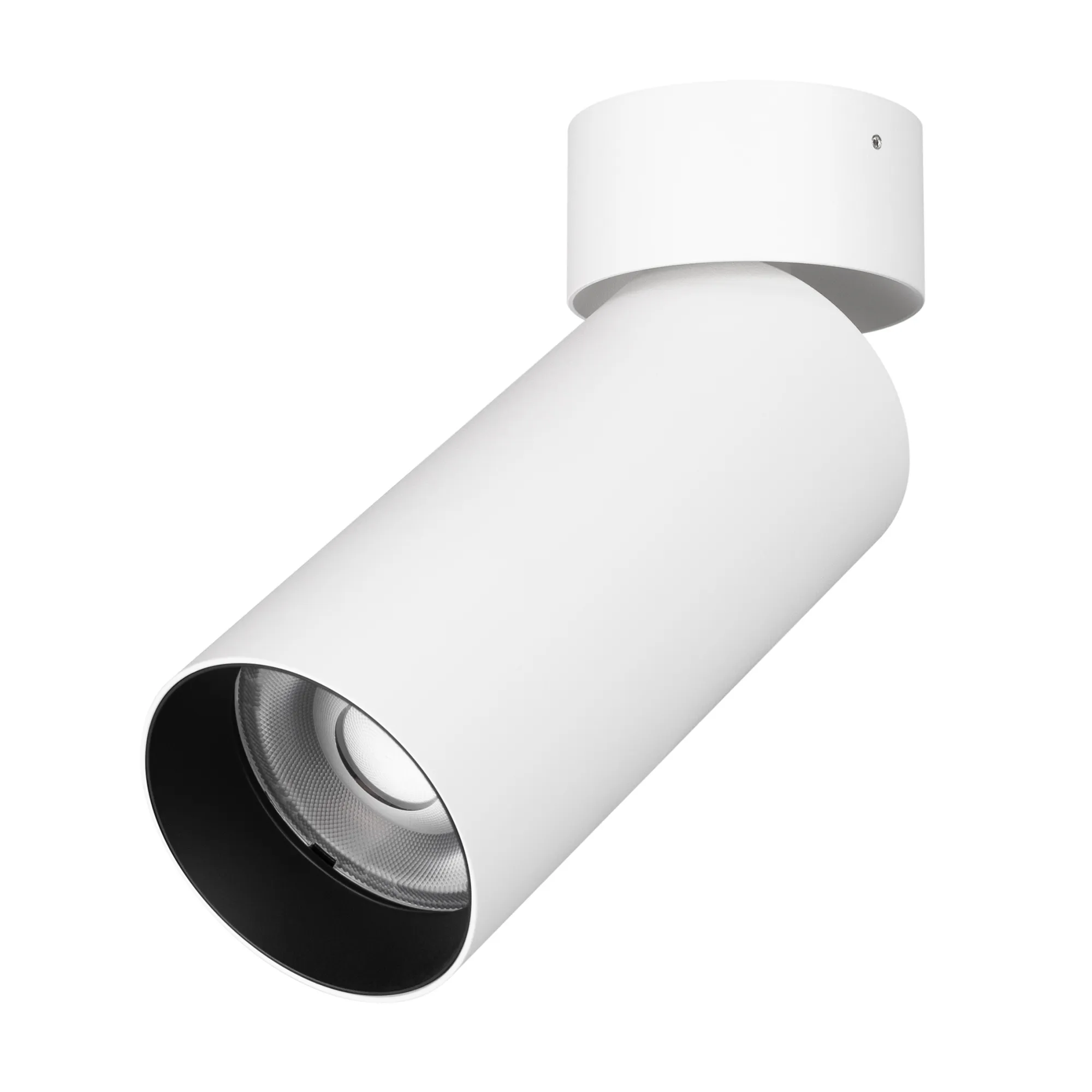 Светильник SP-GABI-SURFACE-FLAP-R60-12W Warm3000 (WH, 36 deg, 230V) (Arlight, IP40 Металл, 5 лет) - изображение товара