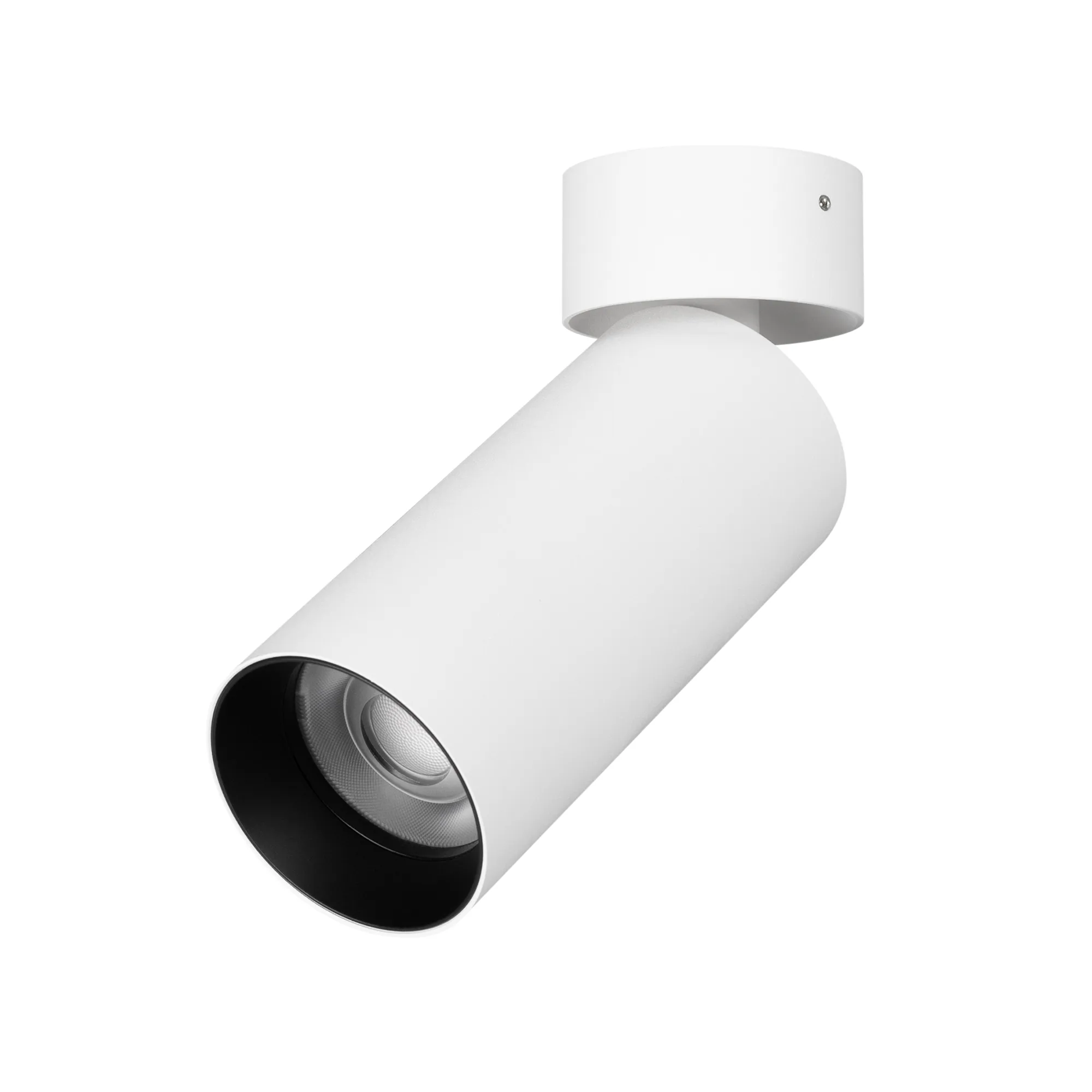 Светильник SP-GABI-SURFACE-FLAP-R50-9W Day4000 (WH, 60 deg, 230V) (Arlight, IP40 Металл, 5 лет) - изображение товара