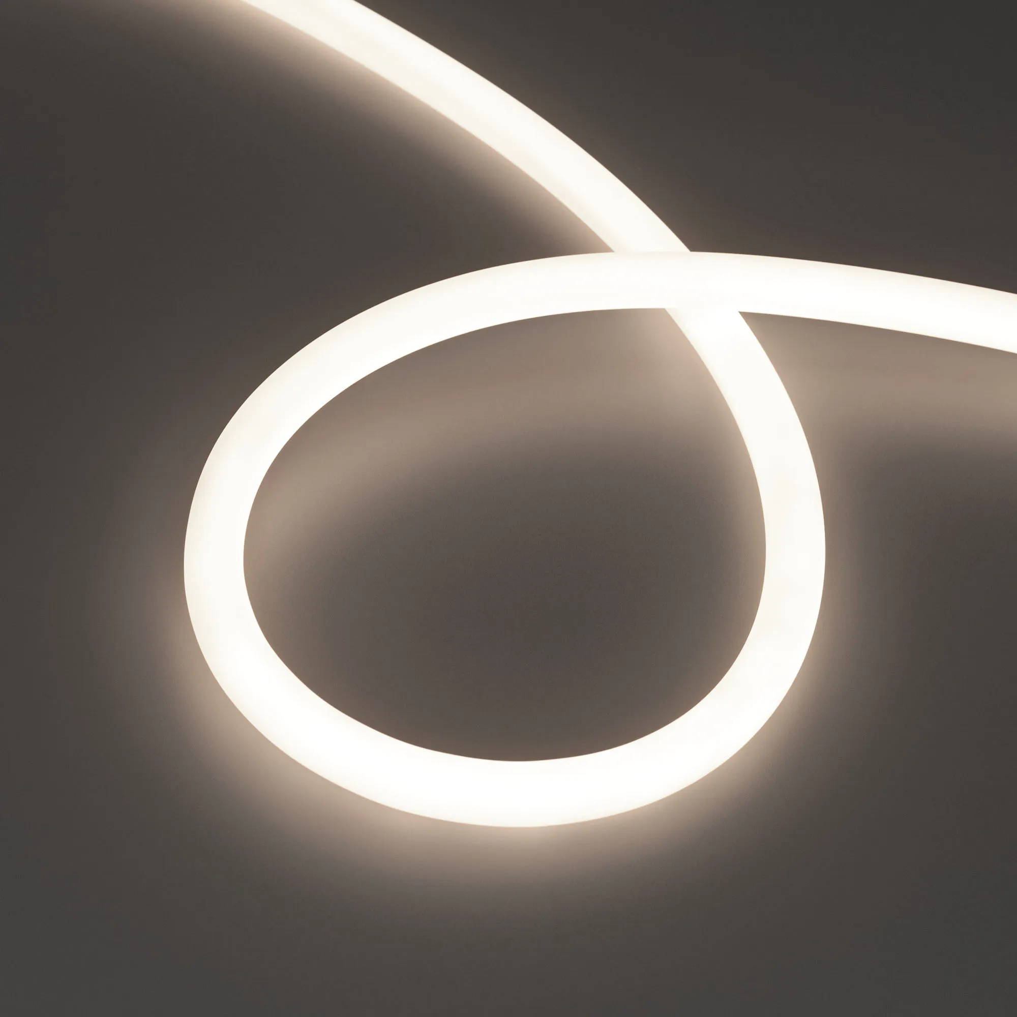 Лента светодиодная герметичная MOONLIGHT-TOP-S-M560-D13mm 24V Day4300 (13 W/m, IP65, 5m, wire x1, трос) (Arlight, Вывод прямой, 3 года)
