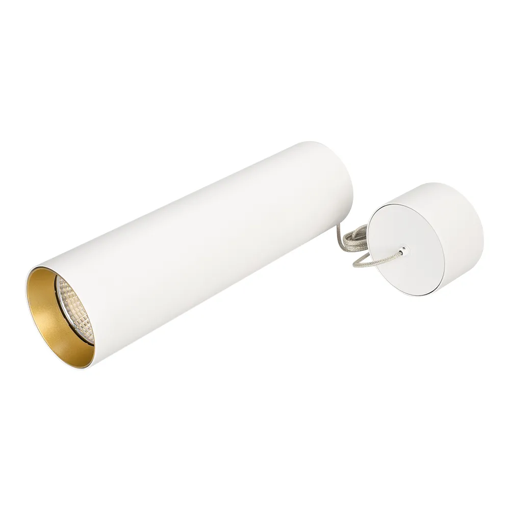 Светильник SP-POLO-HANG-LONG300-R85-15W Day4000 (WH-GD, 40 deg) (Arlight, IP20 Металл, 3 года)